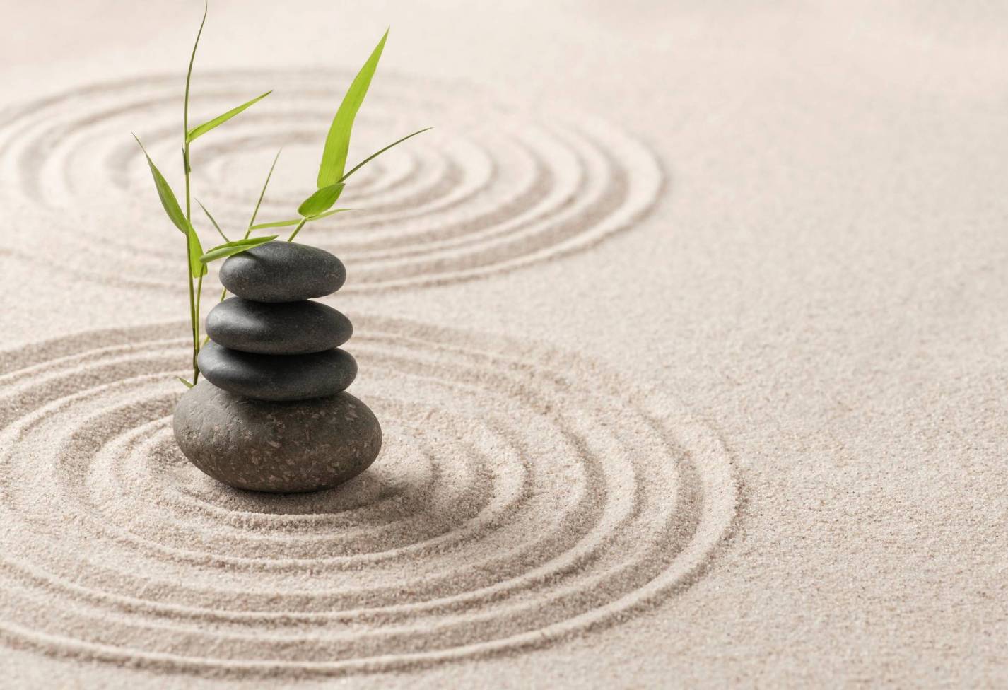 zen_blog_146x796